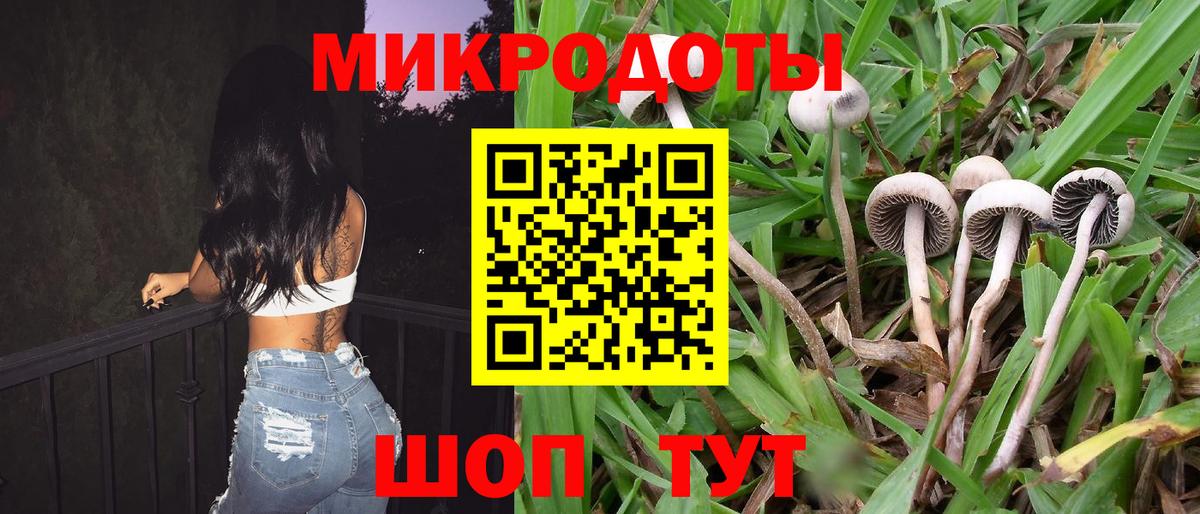 Псилоцибиновые грибы MAGIC MUSHROOMS  Вход с VPN  где найти   Архангельск  Галлюциногенные грибы Cubensis 